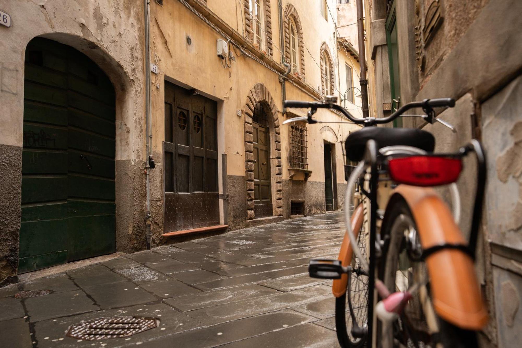 Il Gallo - Charming In The Heart Of Apartment